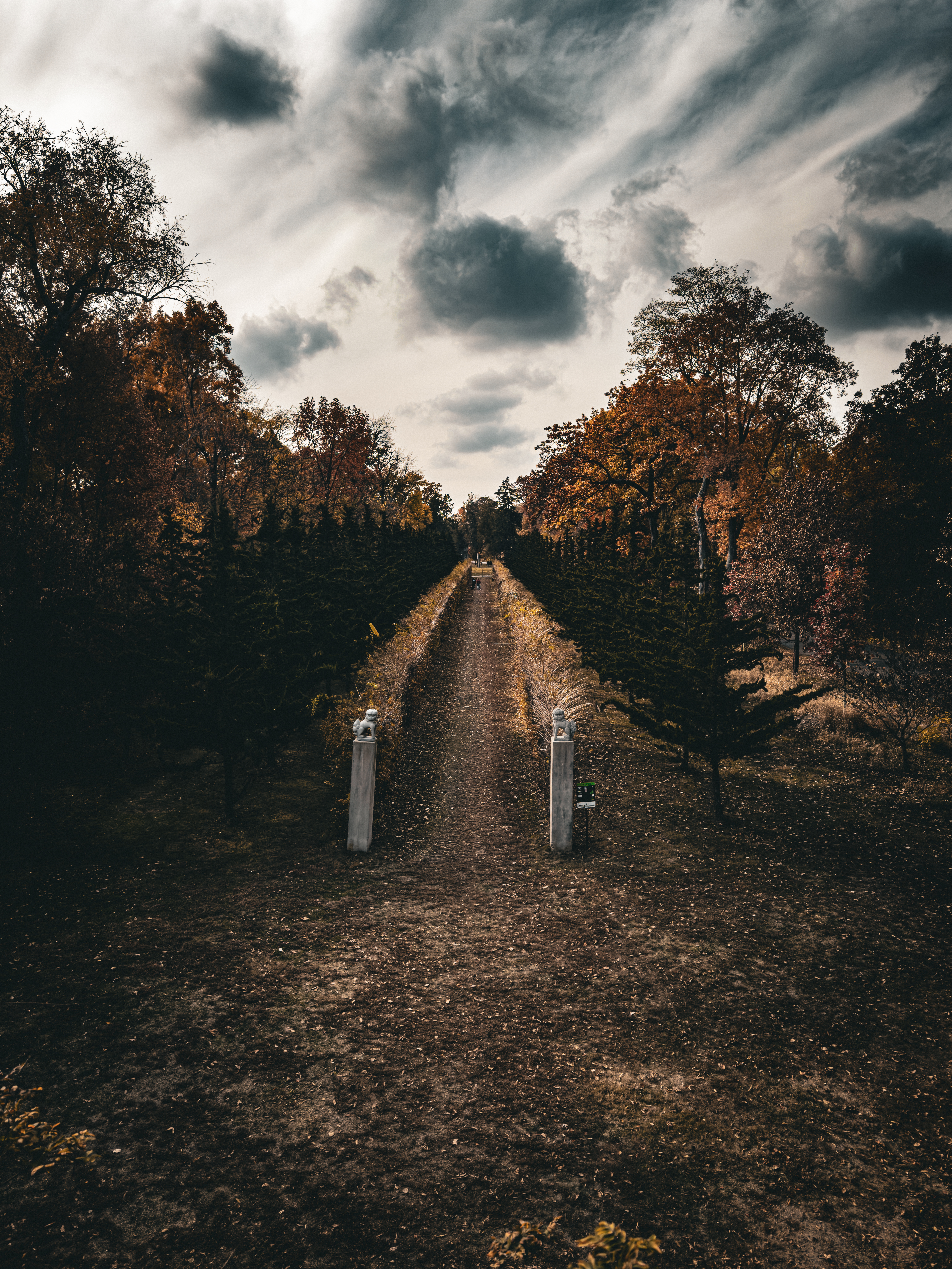Allerton Park and Retreat Center - Vine Walk