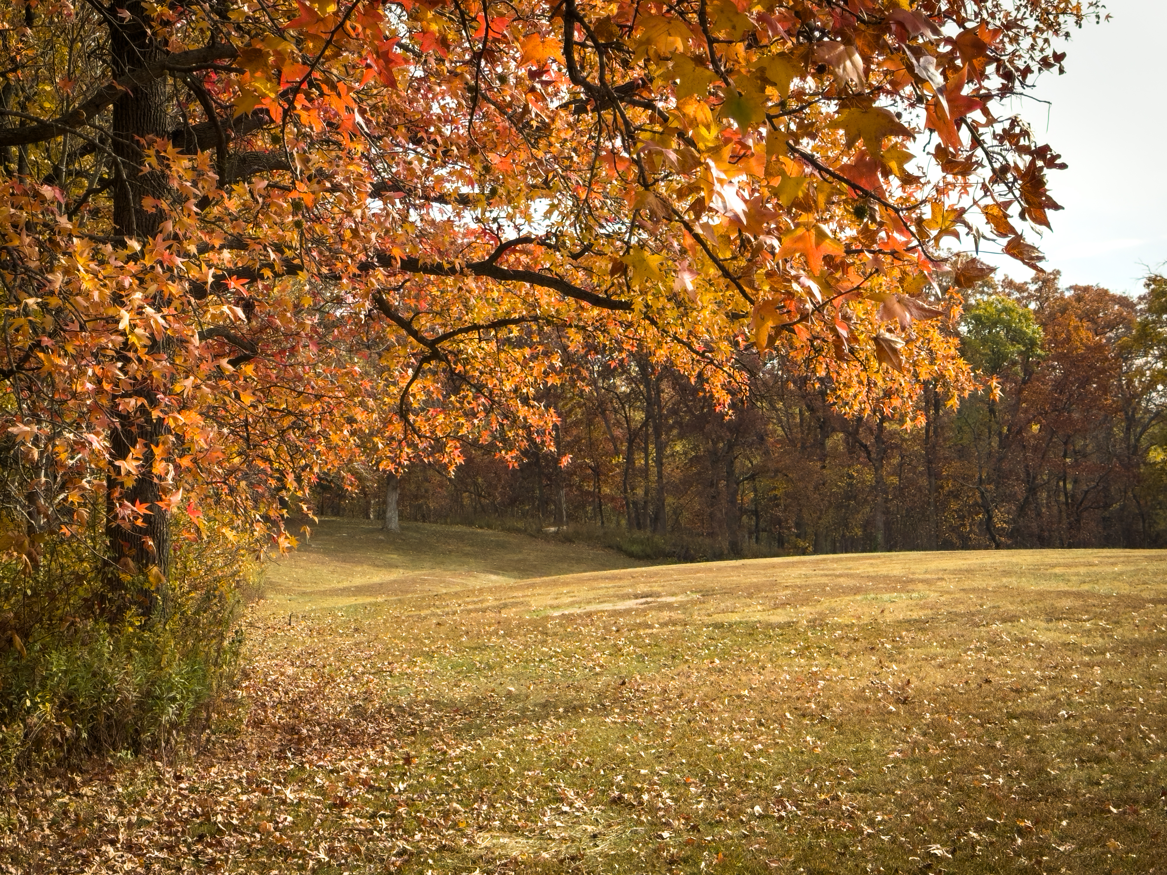 Allerton Park and Retreat Center