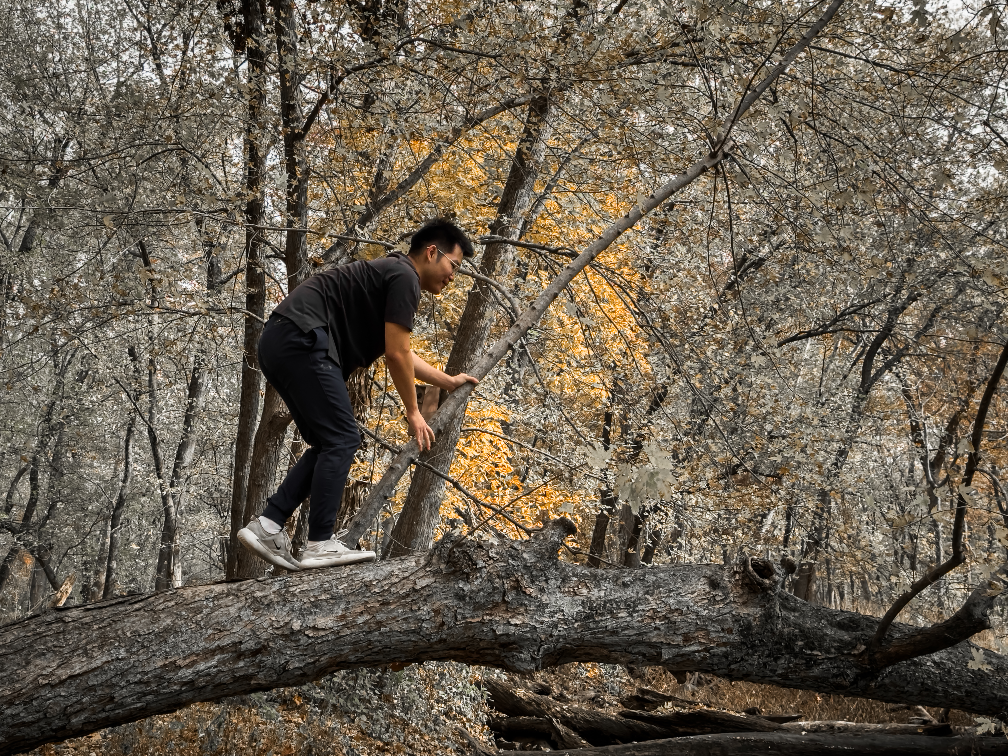 Allerton Park and Retreat Center