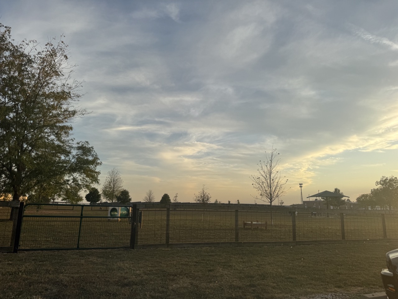 Champaign Bark District