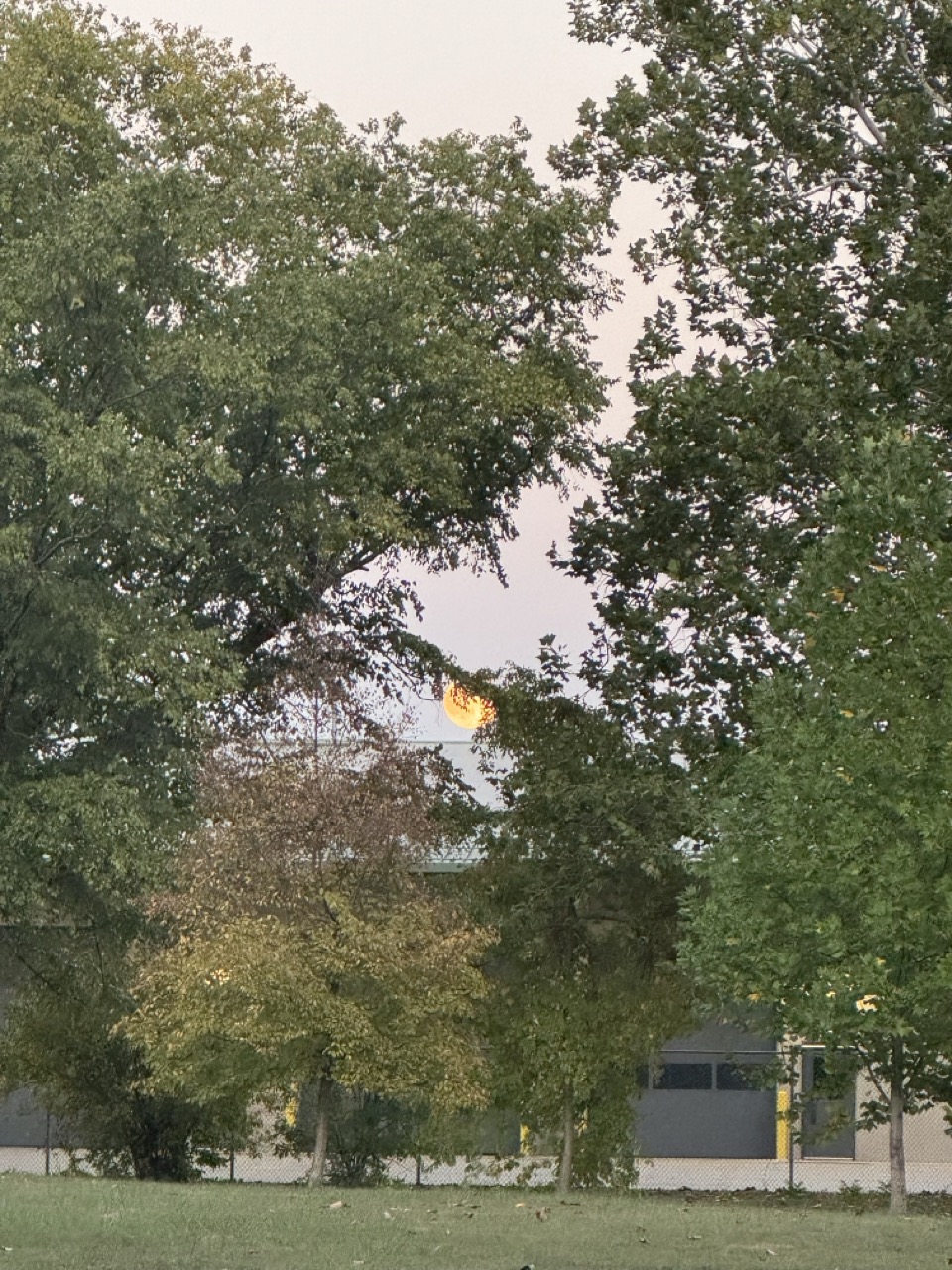 Chief Shemauger Park