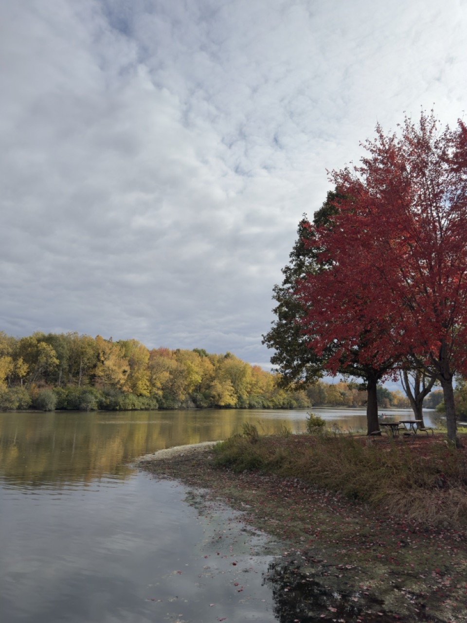 View from the boating launch
