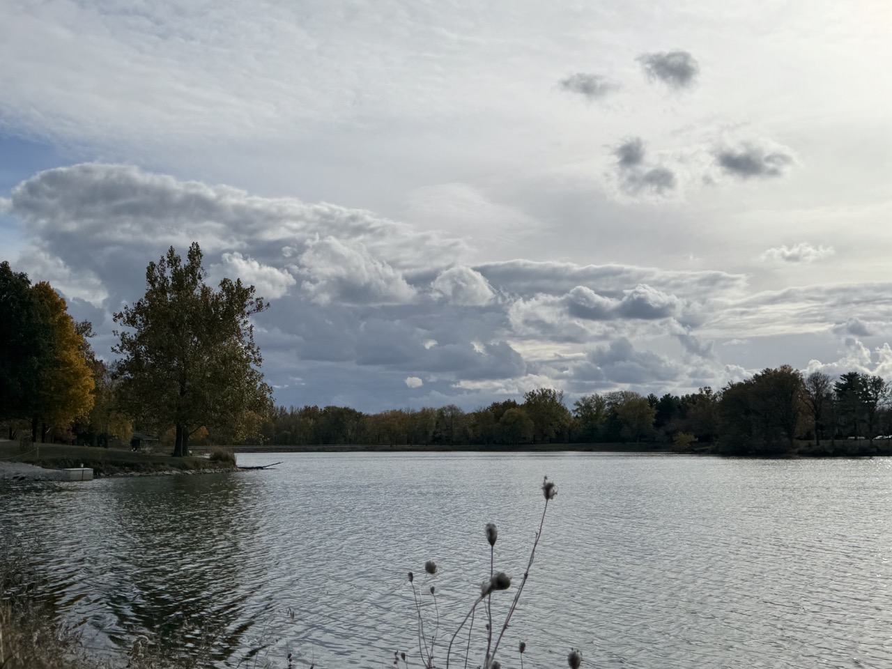 Homer Lake view from the Natural Playscape