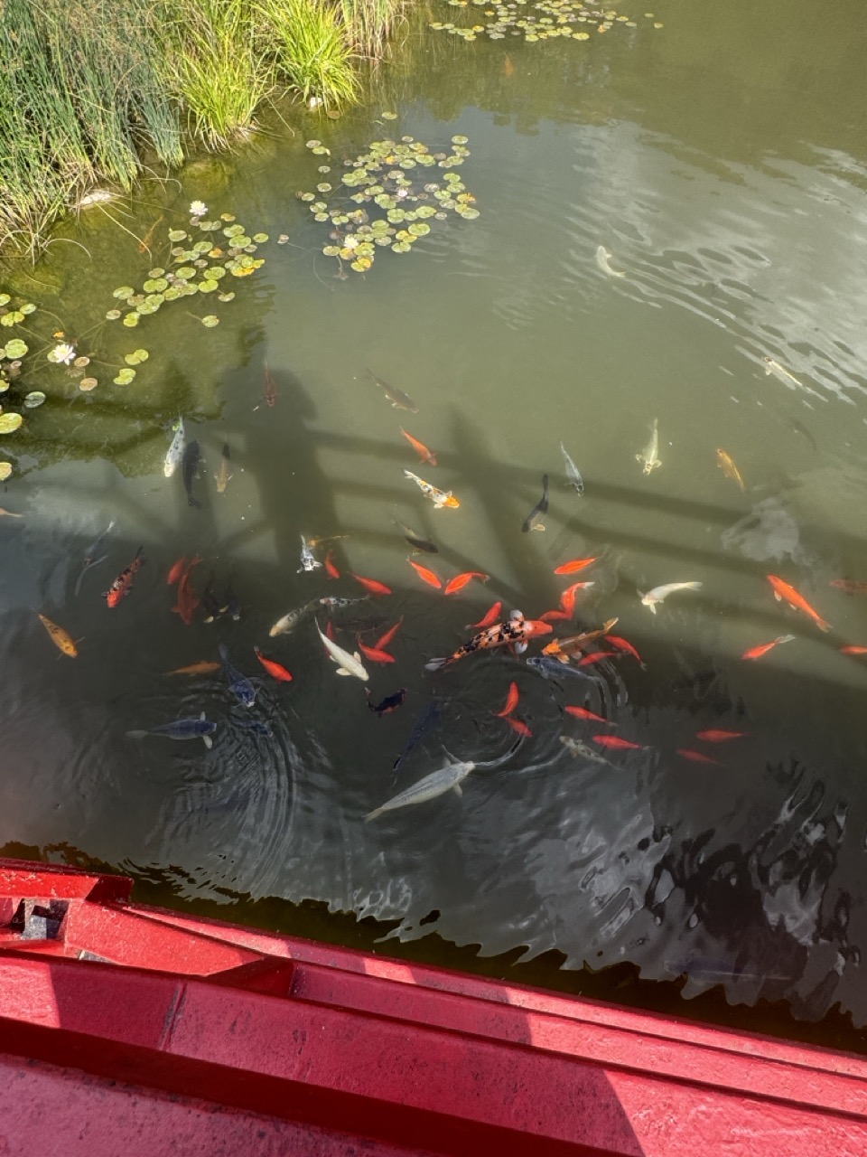 Mahomet Botanical Gardens